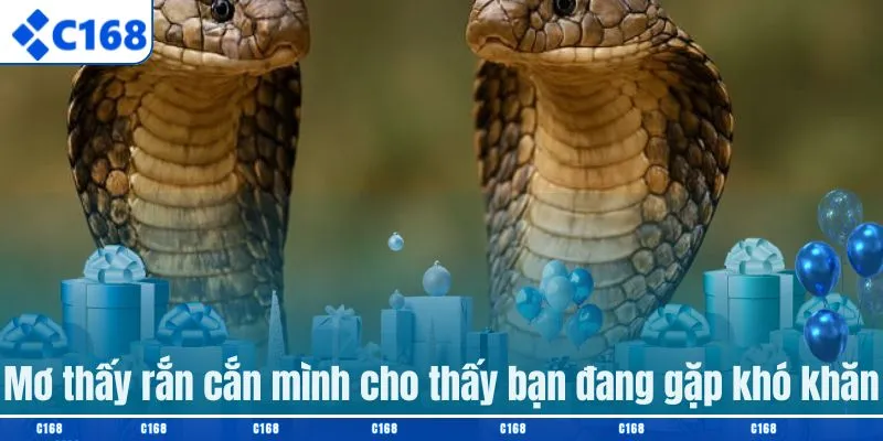 Mơ thấy rắn cắn mình cho thấy bạn đang gặp khó khăn